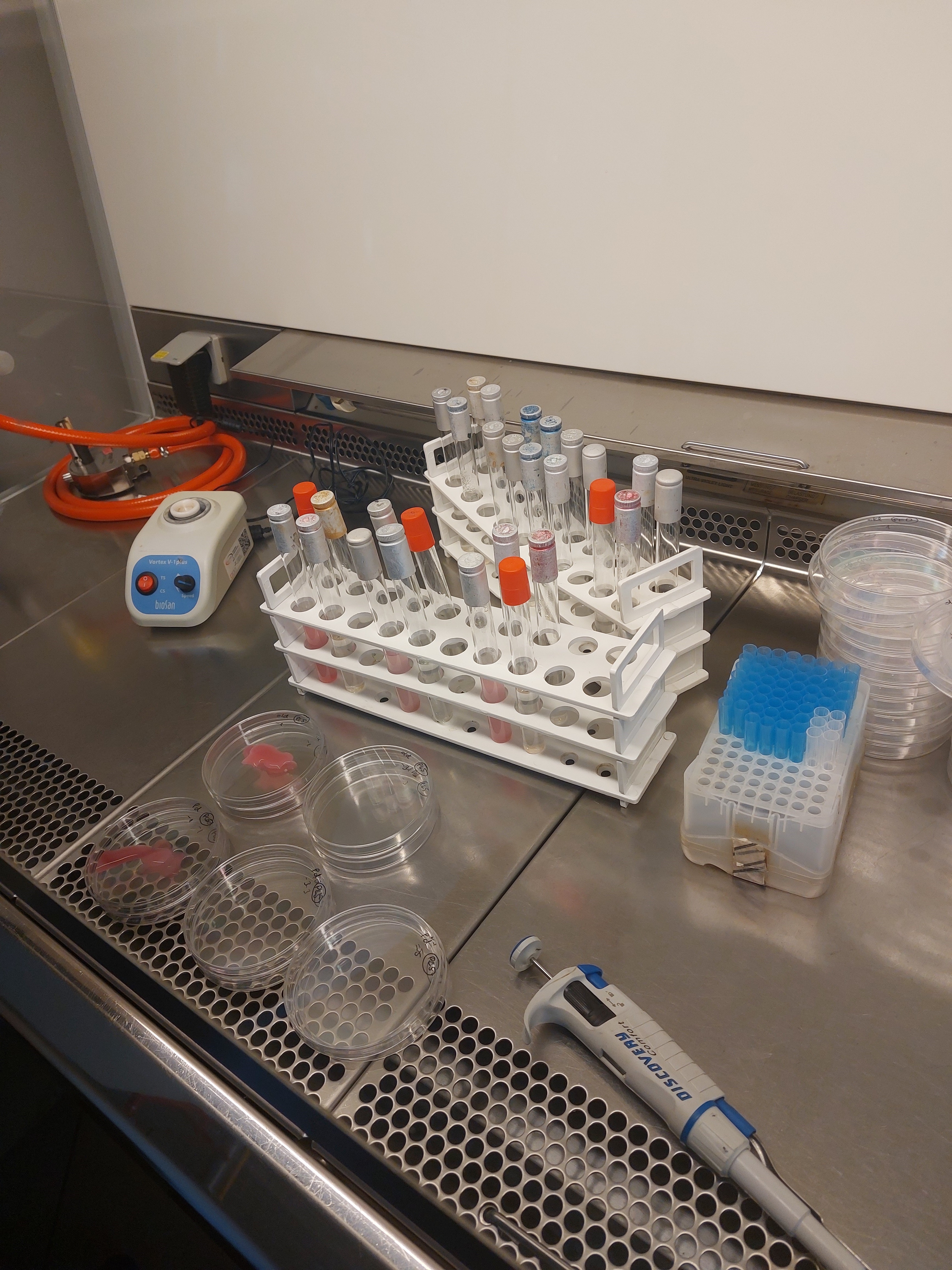 laboratorium