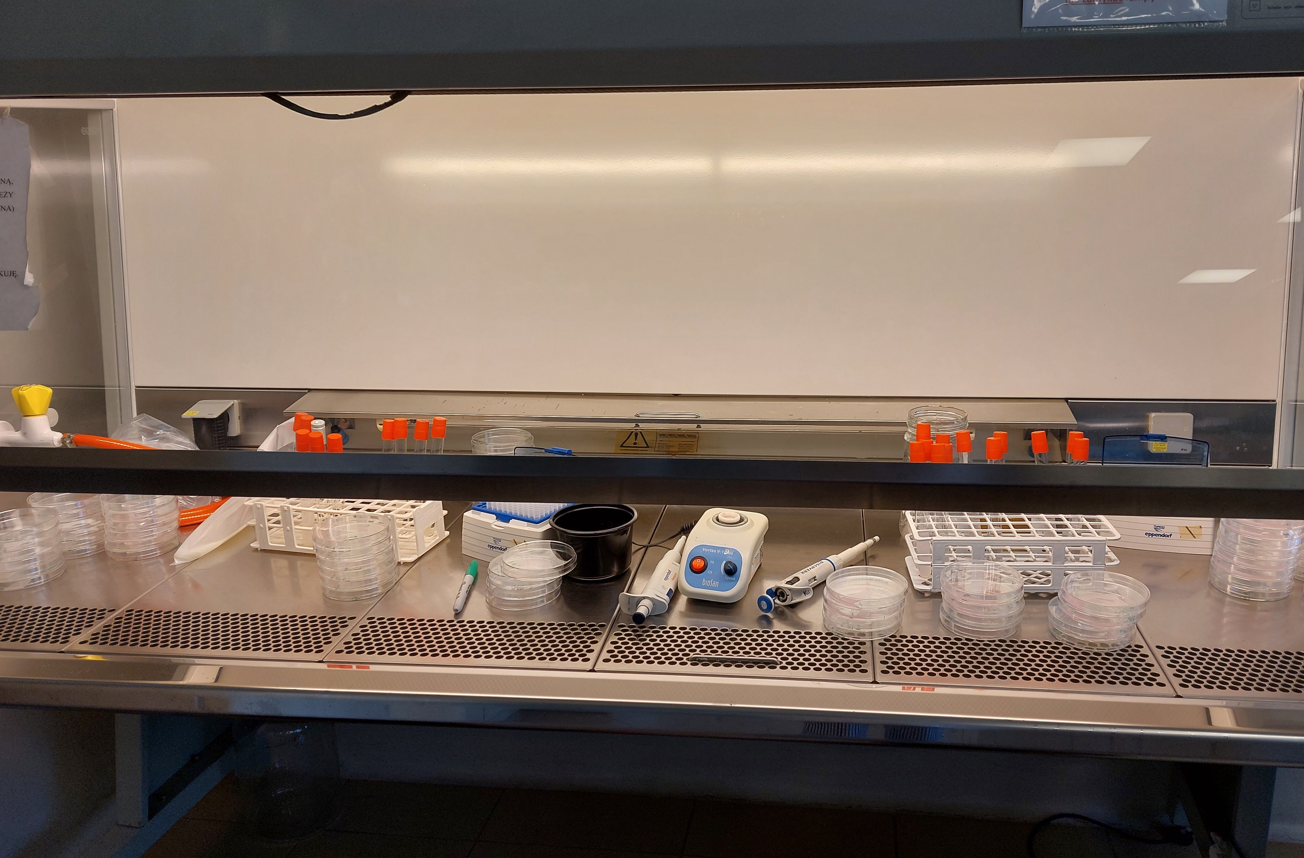 laboratorium
