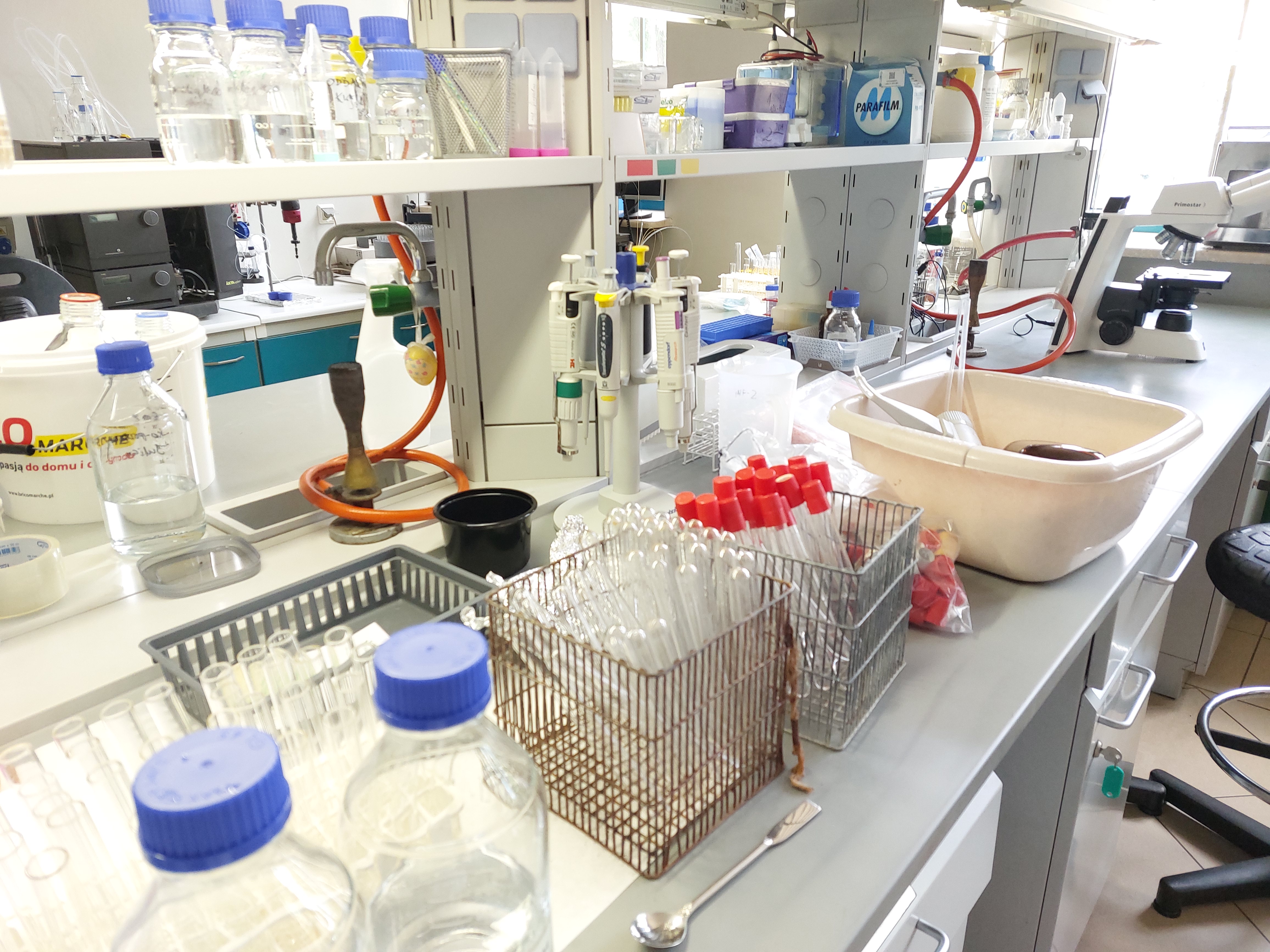 laboratorium