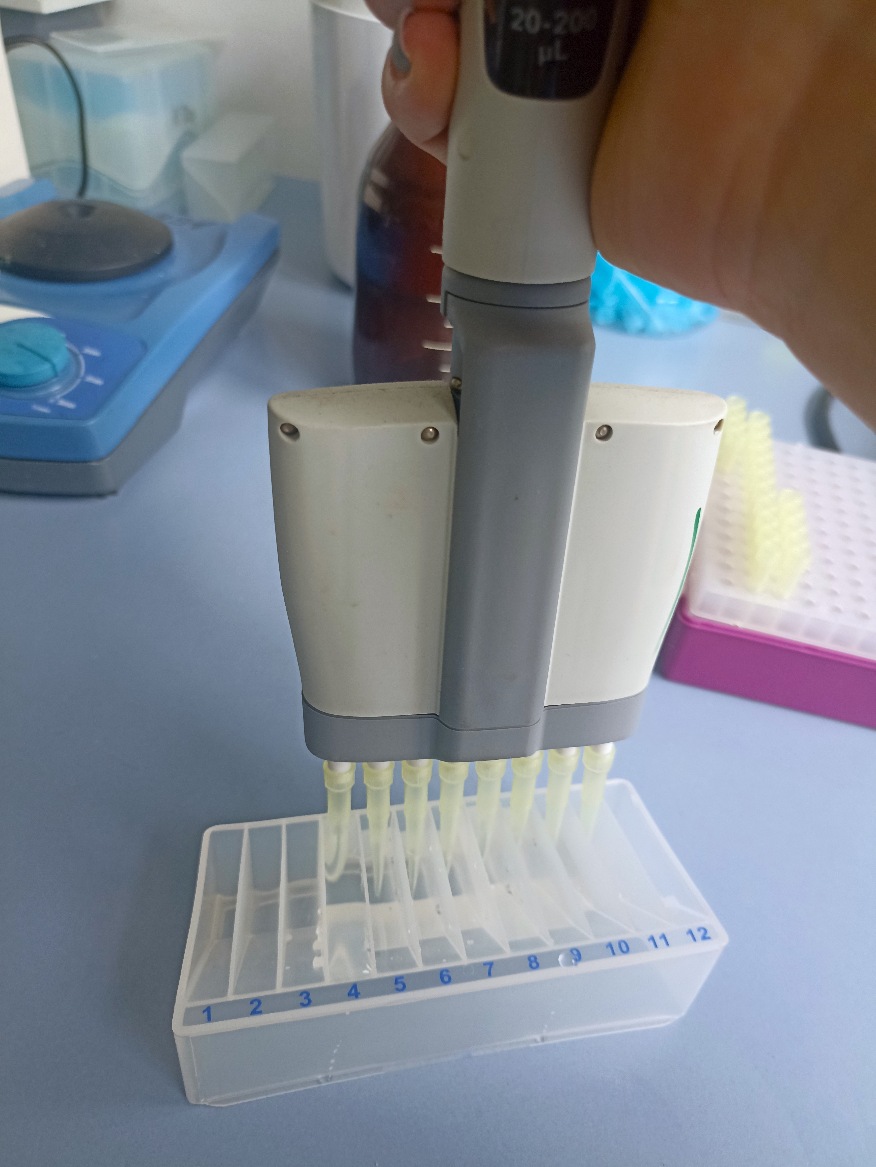 laboratorium