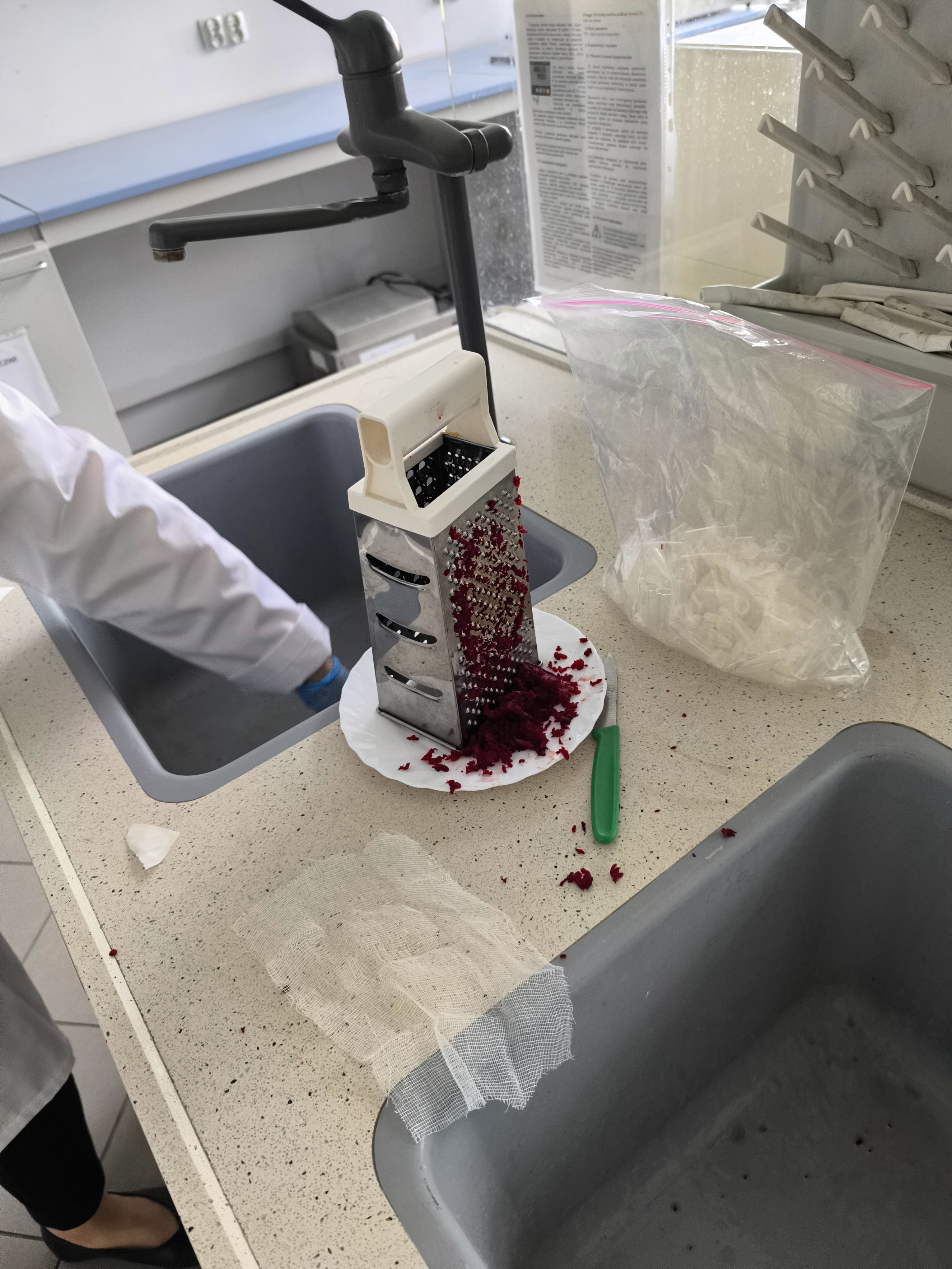 buraki w laboratorium