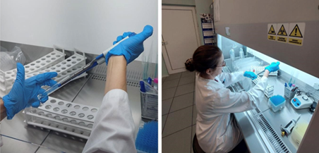 laboratorium