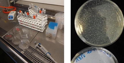 laboratorium